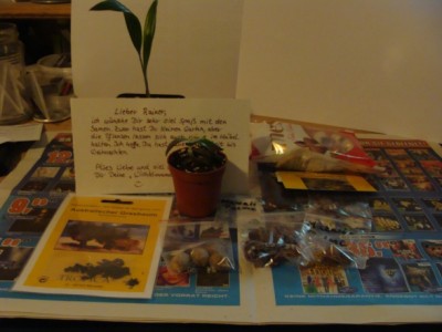 Meine Bilder 1493a.jpg