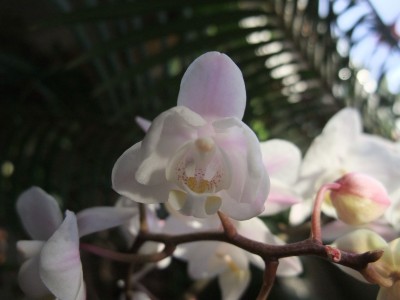 DSCF1240.JPG