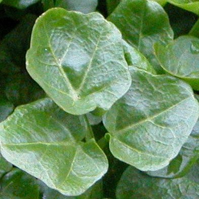 11-12-16-raetsel.JPG