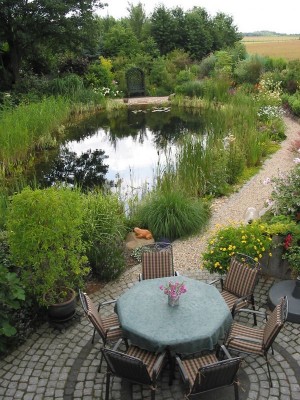 2618-Ein Teich.jpg