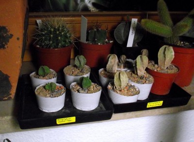DSCF0795.jpg