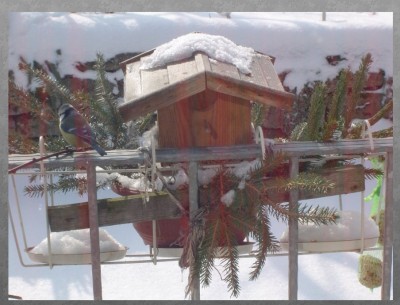 vogelhaus.jpg