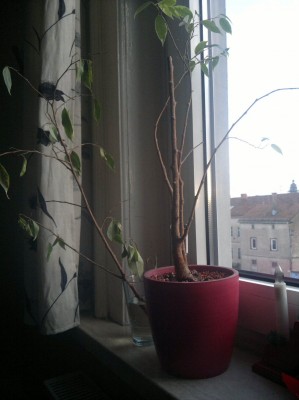 17122011110_2.jpg