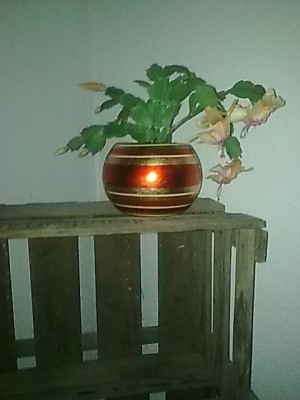 ..schlumbi gelb'pink....JPG