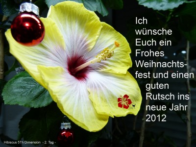 fifth dimension 2tag verkl weihnachtsgruss an greenies.jpg