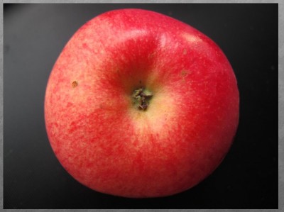 Apfel.jpg