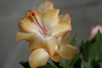 IMG_5634.JPG