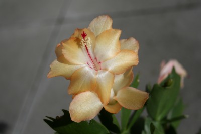 IMG_5632.JPG