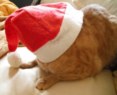 frohes Fest.jpg