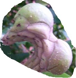 Raetsel.jpg