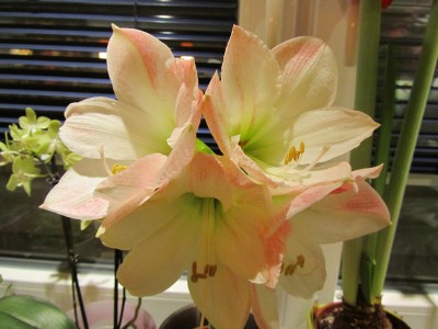 IMG_0813.JPG