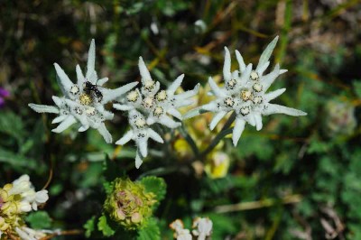 18neu.jpg