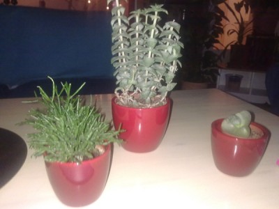 27122011133.jpg