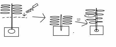 pflanze2.png