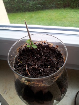 2011-10-12 08.39.09.jpg