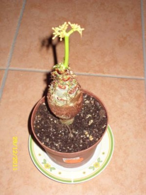 Photo2.jpg