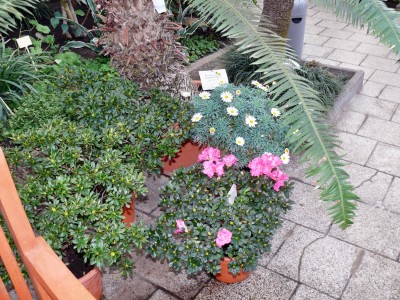 P1050549.jpg