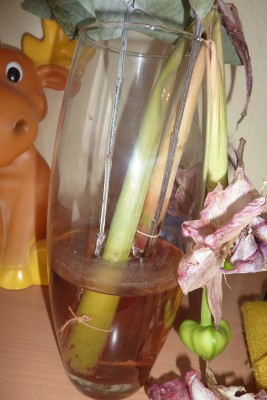 Vase (2).JPG