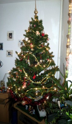 Weihnachtsbaum.jpg