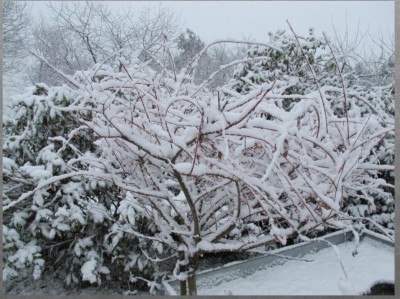 30.12.2010.jpg