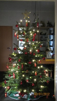 IMG_0801.jpg