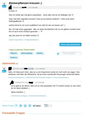Lilien Frage2.JPG
