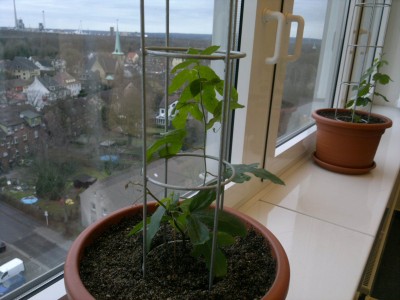 03012012062_1.jpg