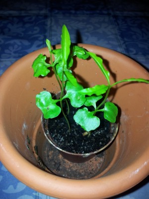 20120104_074043.jpg