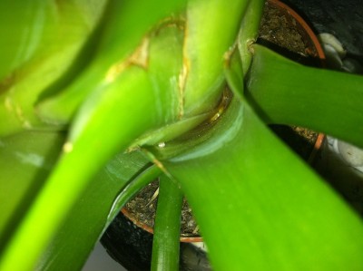 photo12.JPG