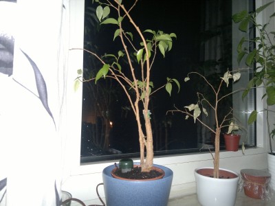 06012012245.jpg