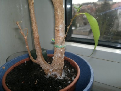 07012012258.jpg