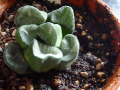 P1120424.JPG