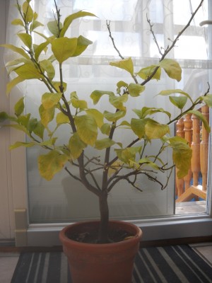 DSCN5450.JPG