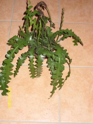 Photo1.jpg