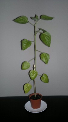 10012012004_1.jpg