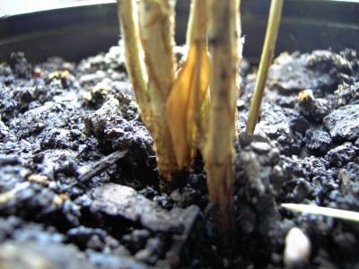 PICT6181.JPG