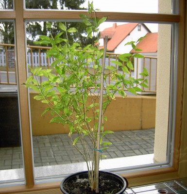 PICT6175.JPG