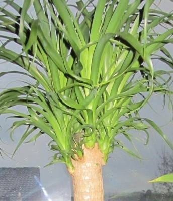 Bild green24 3 140.jpg