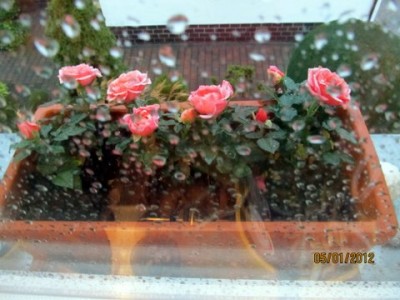 IMG_0326.JPG