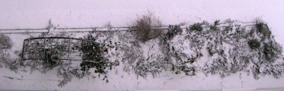 Straßenbeet im Schnee_9762.jpg