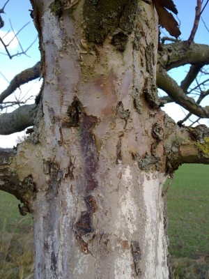 14012012135 v02.jpg