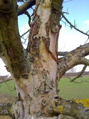 14012012136 v02.jpg