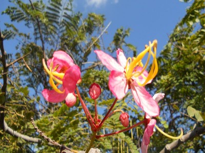 k-DSCN0466.JPG