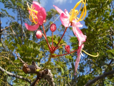 k-DSCN0465.JPG