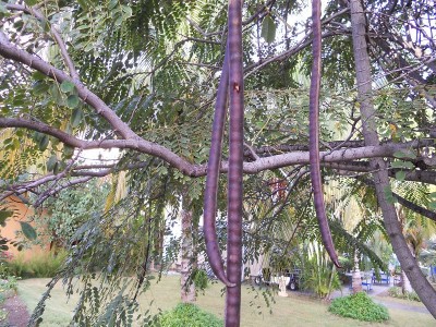 k-DSCN0245.JPG