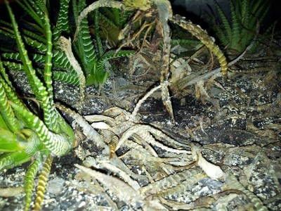 k-20120116_190143.jpg