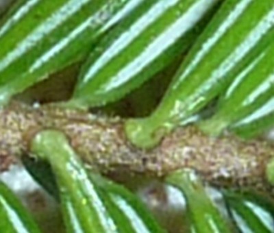 Raetsel 014.JPG