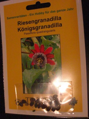 k-CIMG3378.JPG