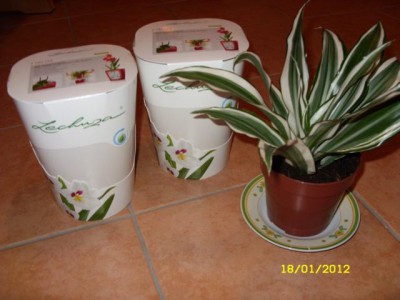 Photo2.jpg