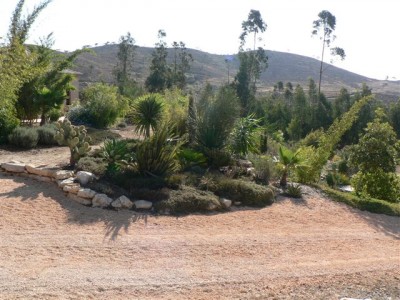 Garten I.jpg